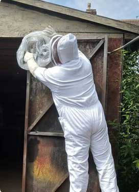 Pest Controller