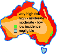 The risk of termite attack  across Australia