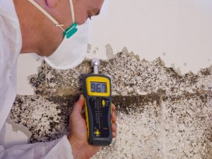 Termite protection