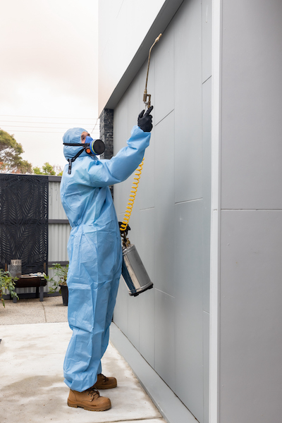 Spraying house - pest control spray