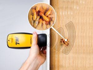 Termtrac termite detector