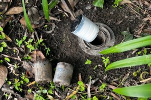 Trelona termite bait installation