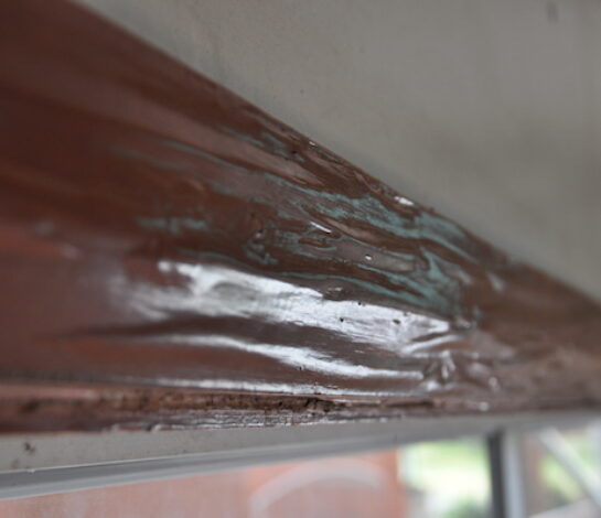 What does termite damage look like?
