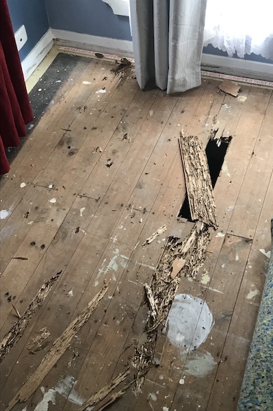 Termite damage to floorboards